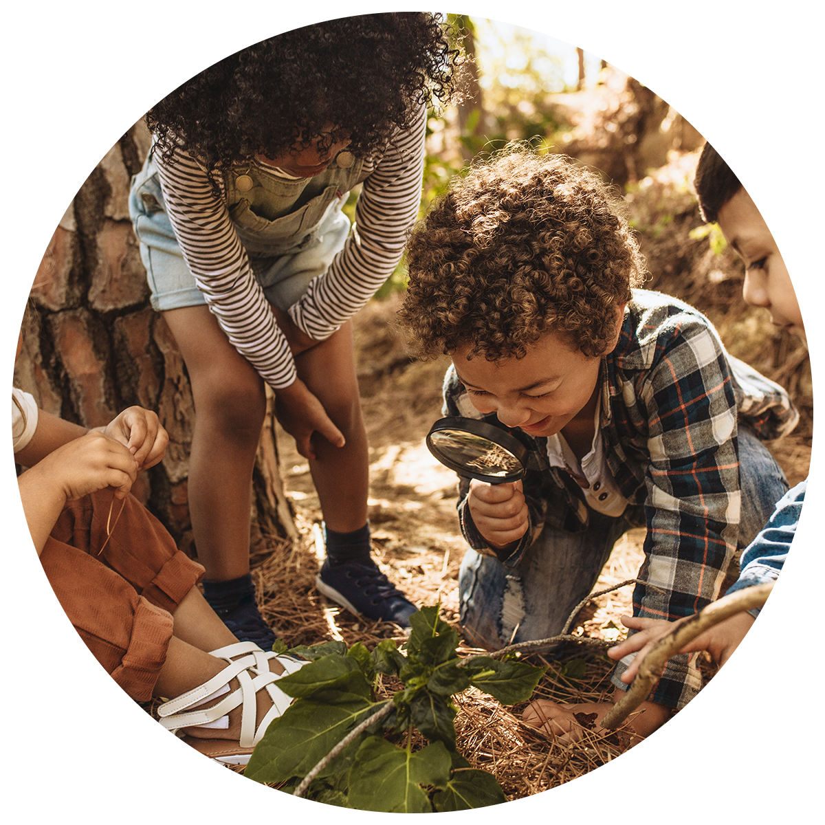 Children playing outside enjoying guided nature activities.